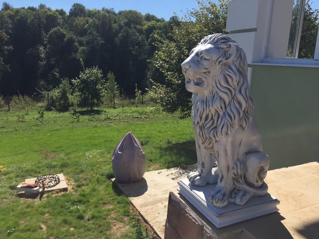 белые статуи львов