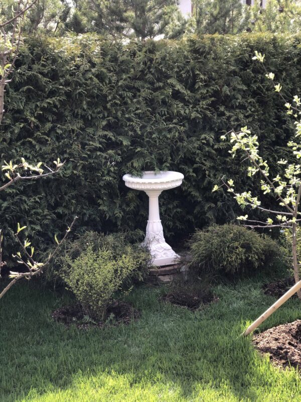 Поилка для птиц 11 Поилка для птиц 3 scaled