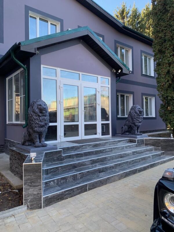 Установленные львы