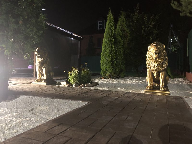 Королевские львы рядом с дорожкой