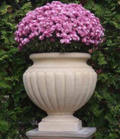 Вазон Пьемонт 1