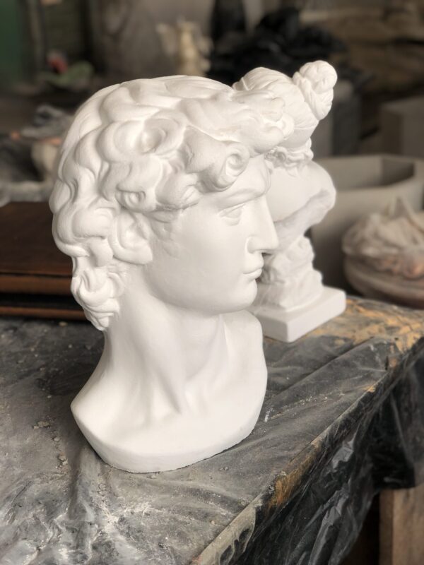 Кашпо голова "Давида" 11 вещи