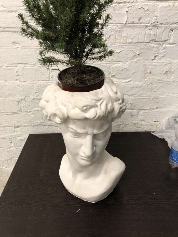 Кашпо голова "Давида" 10 легенда