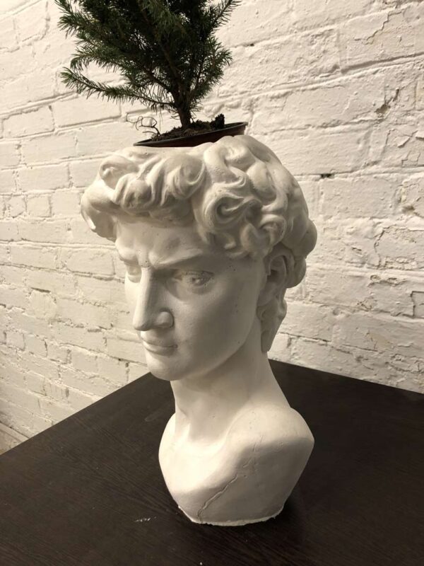 Кашпо голова "Давида" 9 история