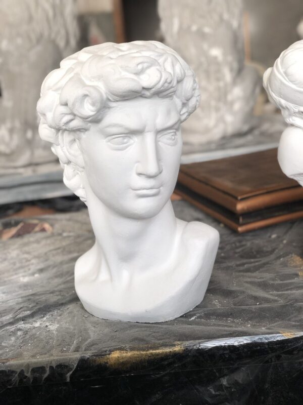 Бюст Давида 7 photo1669289064