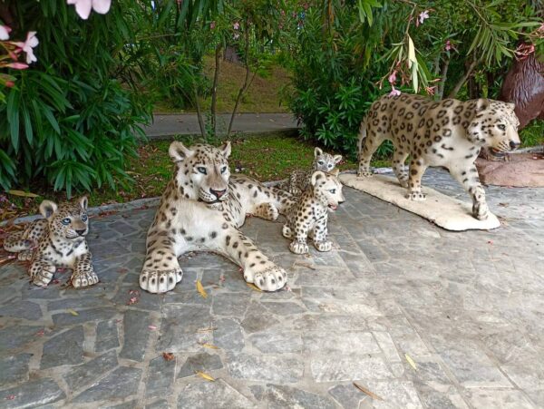 Садовая фигура - Семья леопардов 10 Садовая фигура - Семья леопардов