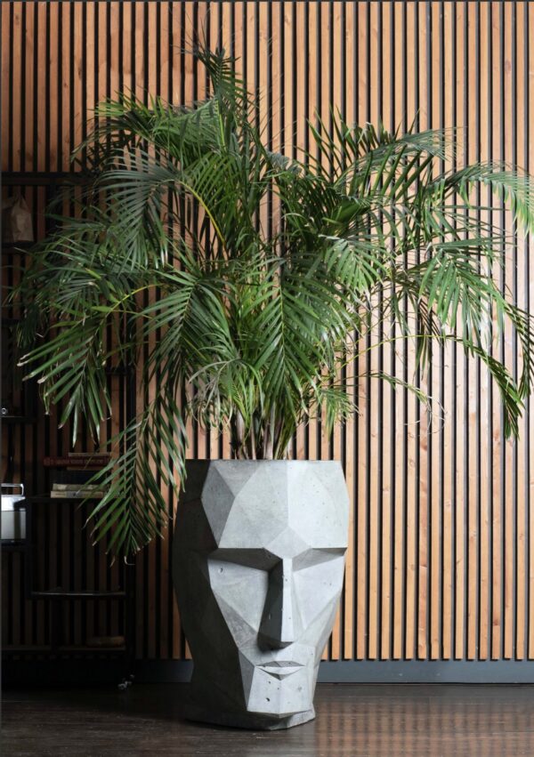 Полигональная голова (Большая) 5 Тор