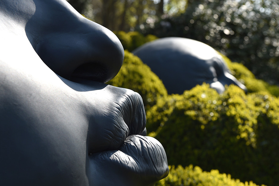 длиннопост скульптура лица сад 4878441 1