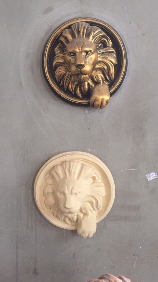 photo 5289634018008088539 y