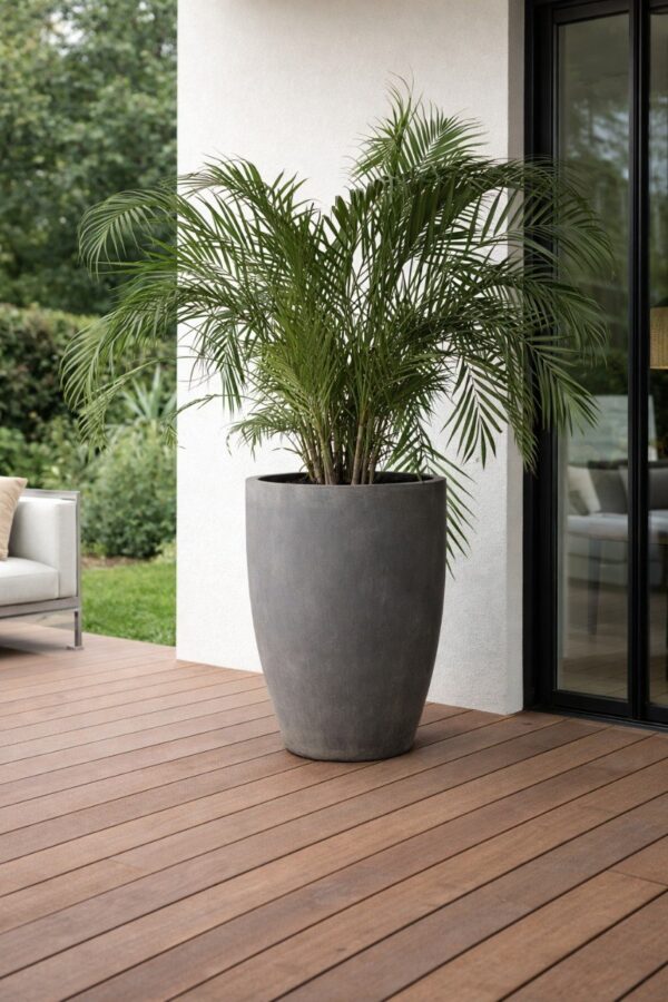 vazon boston 52h71 1