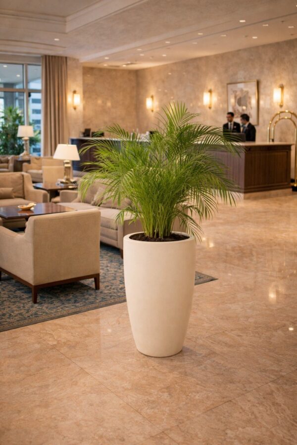 vazon boston 52h71 4