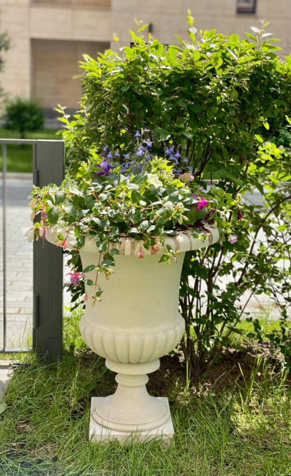 Вазон Верона (1)