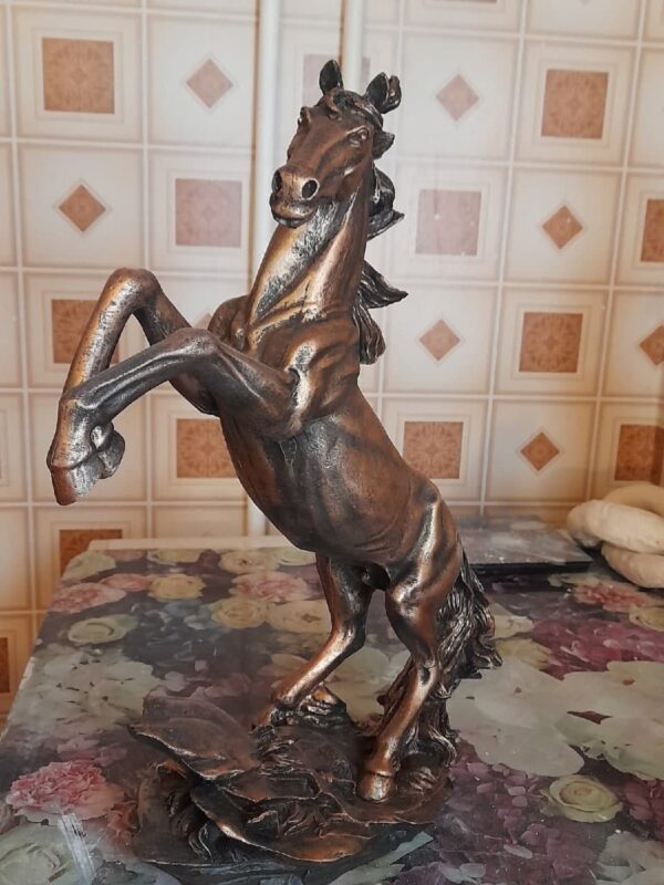 photo 2021 08 18 20 33 20