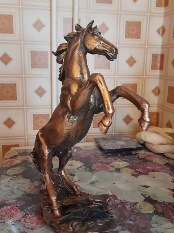 photo 2021 08 18 20 33 25