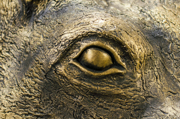 садовый бегемот