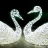пара лебедей