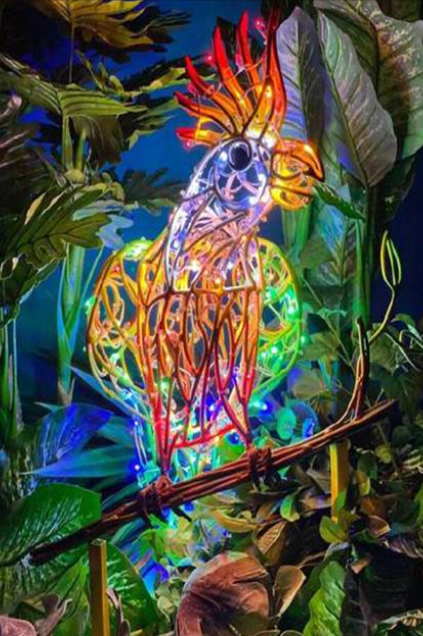 световой попугай