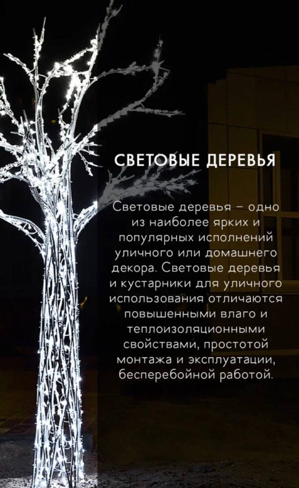 Деревья | КОРОЛЕВСКАЯ АРХИТЕКТУРА