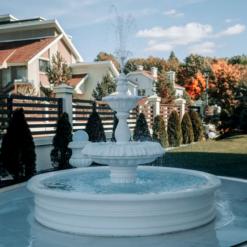 Фонтан Королевский в белом 9 fontan korolevskij v belom d 235 sm 4