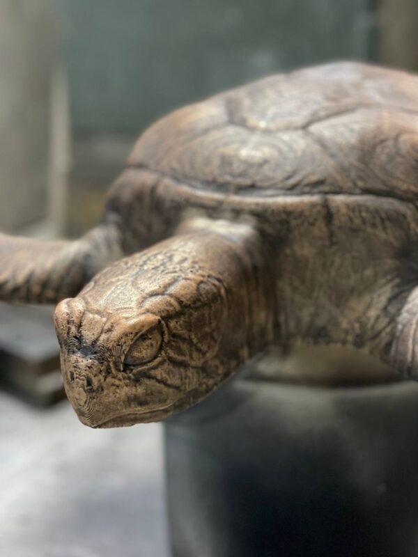 sadovaya figura cherepaha 4