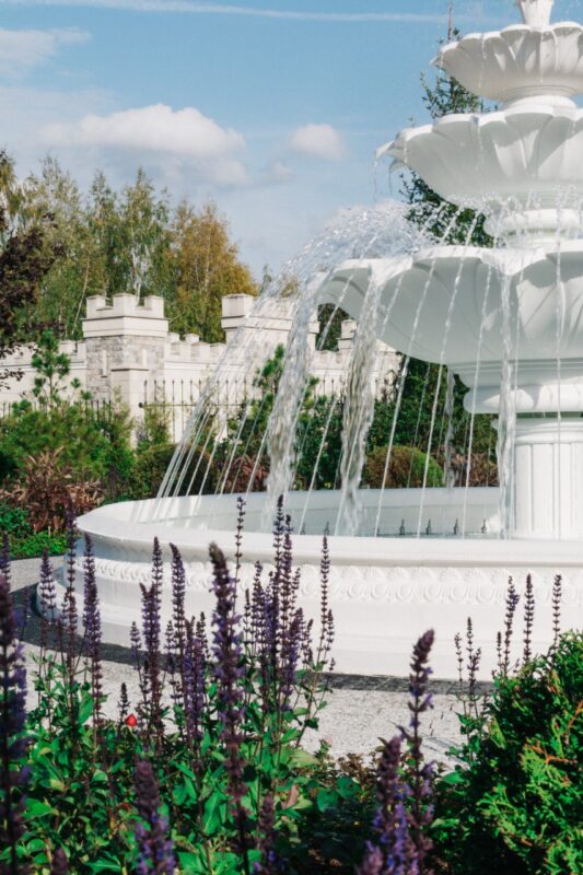 image 2024 02 14 155522