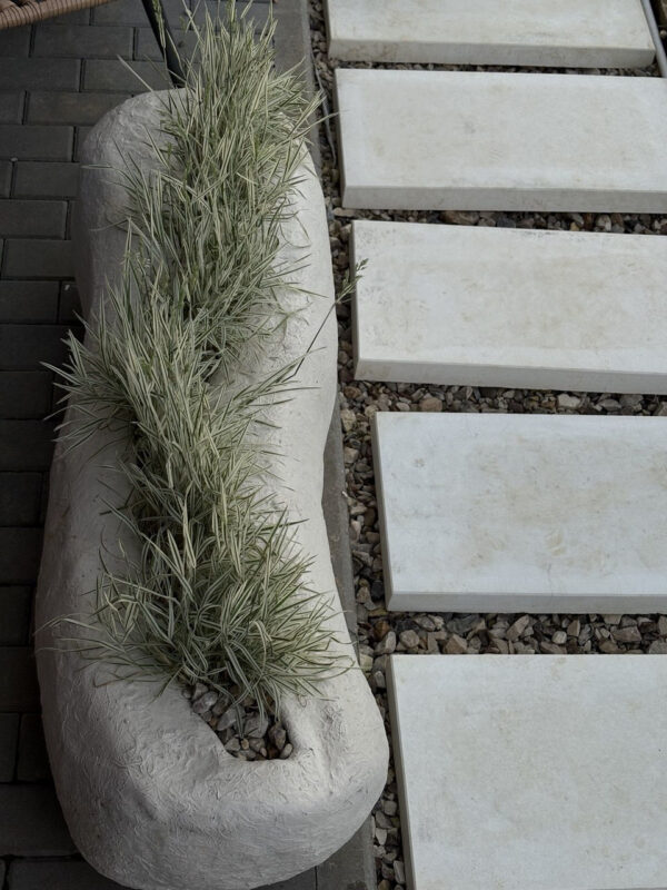 kashpo galaktika 16 1