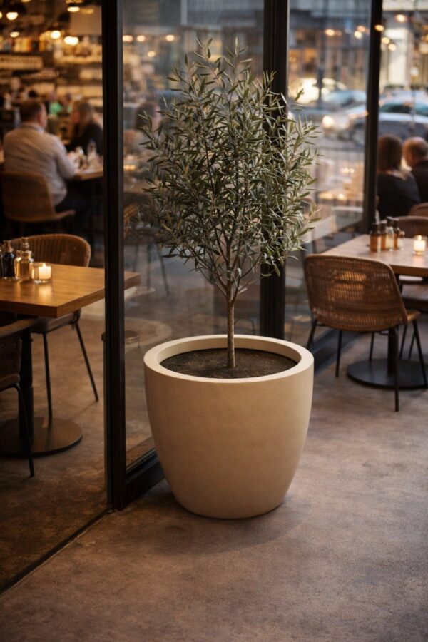 kashpo berlin d60 h50 3