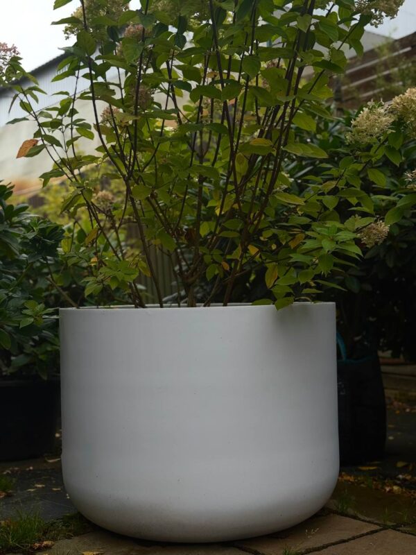 кашпо Дубай