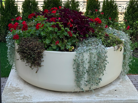 snimok ekrana 2025 11 26 v 11.47.38