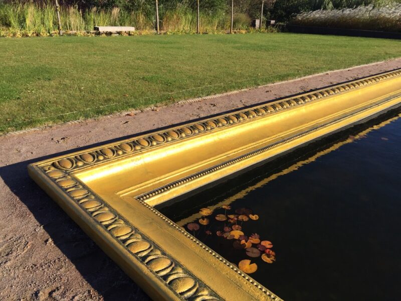 unadjustednonraw thumb abcc